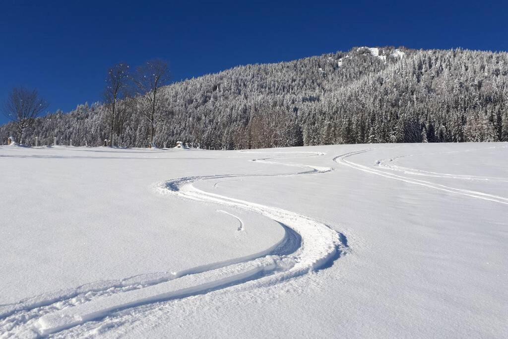 Appartment Dutzler Sankt Martin am Tennengebirge Esterno foto