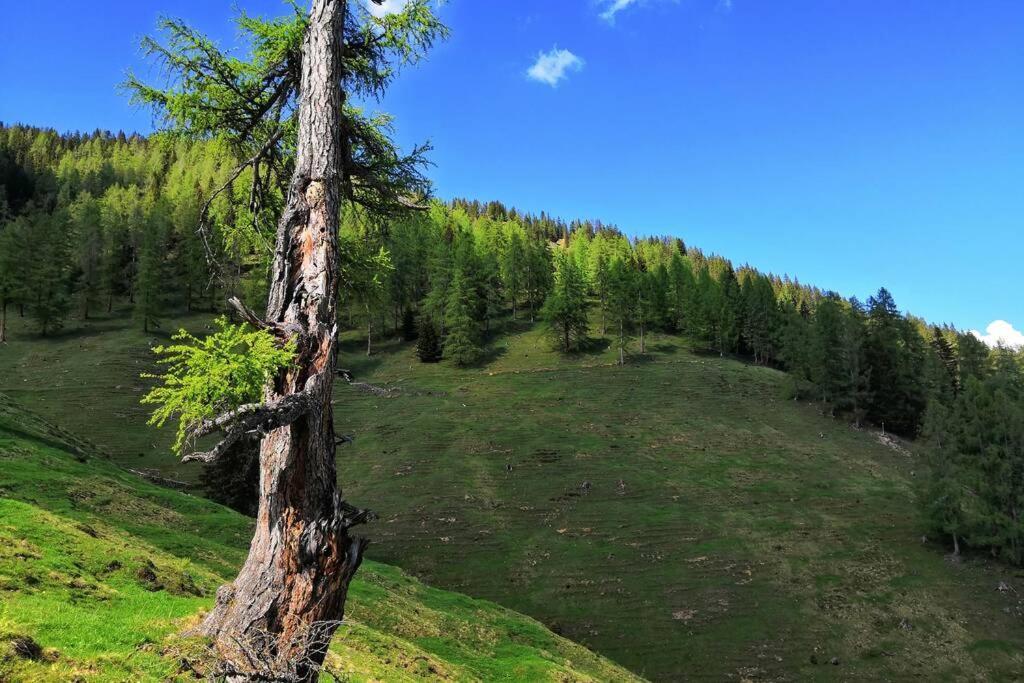 Appartment Dutzler Sankt Martin am Tennengebirge Esterno foto