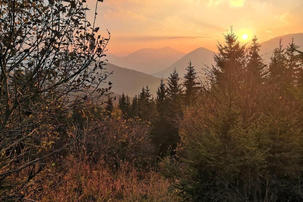 Appartment Dutzler Sankt Martin am Tennengebirge Esterno foto