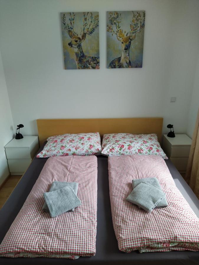 Appartment Dutzler Sankt Martin am Tennengebirge Esterno foto